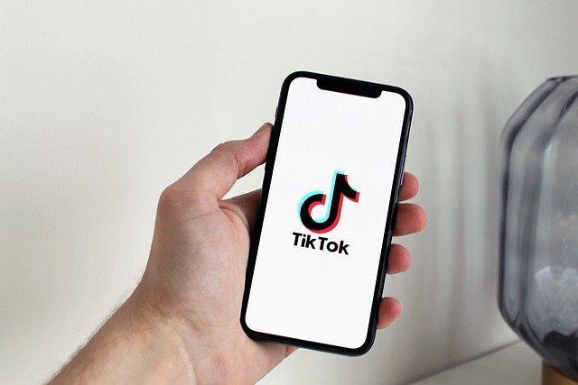 TikTokers Make At Least $200 Per TikTok Clip! How Do They Do That? What Is TikTok Anyway?
