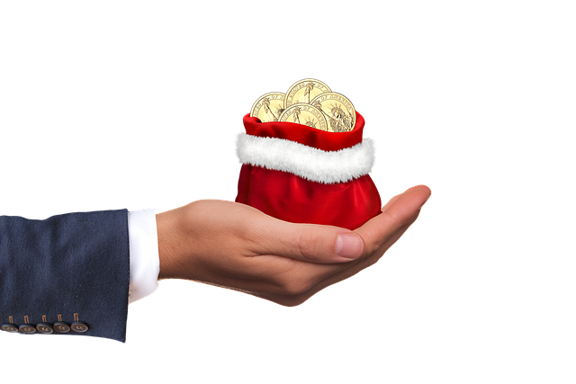 Need Extra Money This Christmas? You Need To Try These Ideas!